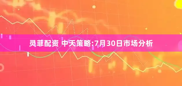 灵菲配资 中天策略:7月30日市场分析