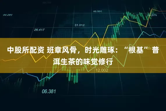 中股所配资 班章风骨，时光雕琢：“根基” 普洱生茶的味觉修行